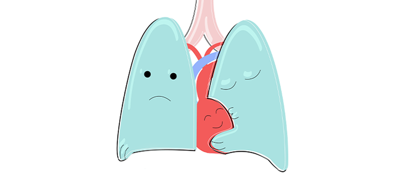 cartoon kidneys hugging adrenal gland