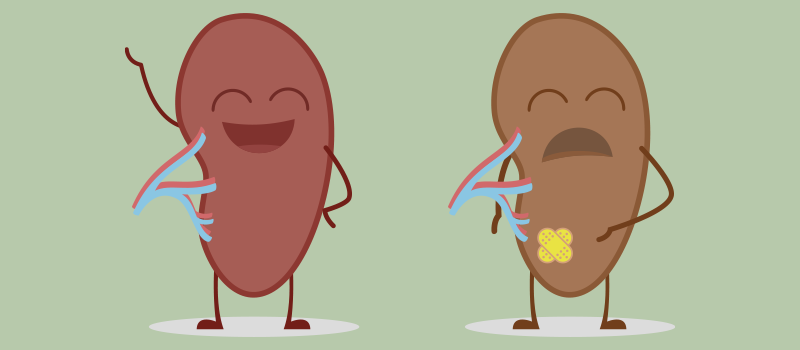 two cartoon spleens. The one on the left is healthy and the one on the right is sick