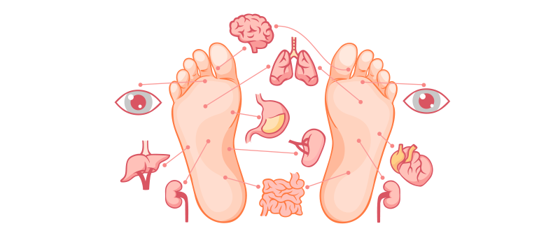 cartoon of feet with lines pointing at different points and other organs such as eyes, lungs, heart surrounding it