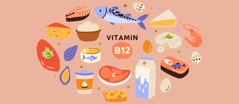 vitamin b12 foods